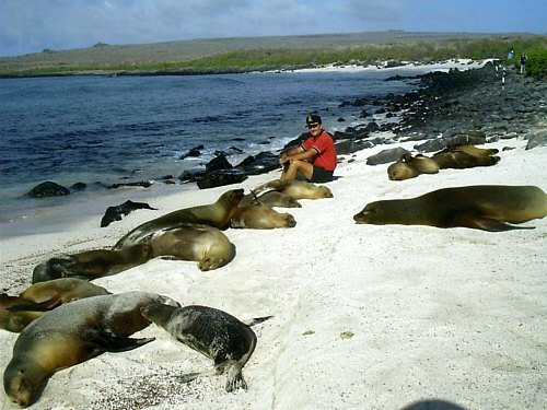 PLAYA CON LOBOS